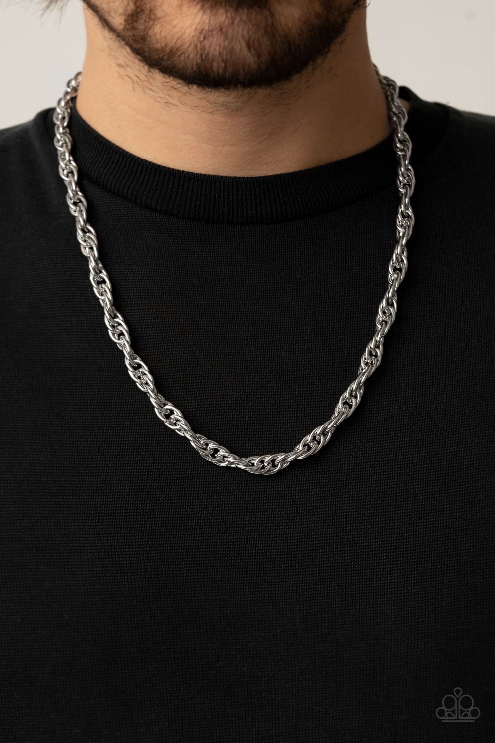 Extra Entrepreneur - Silver Paparazzi Necklace