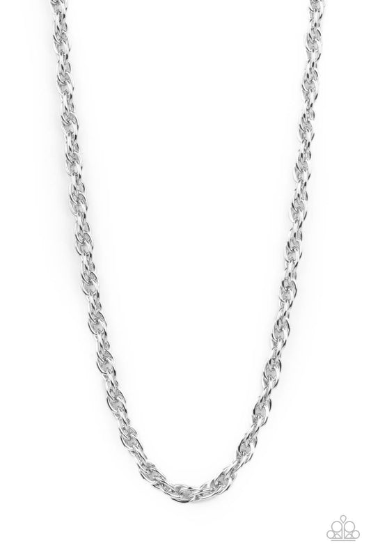 Extra Entrepreneur - Silver Paparazzi Necklace