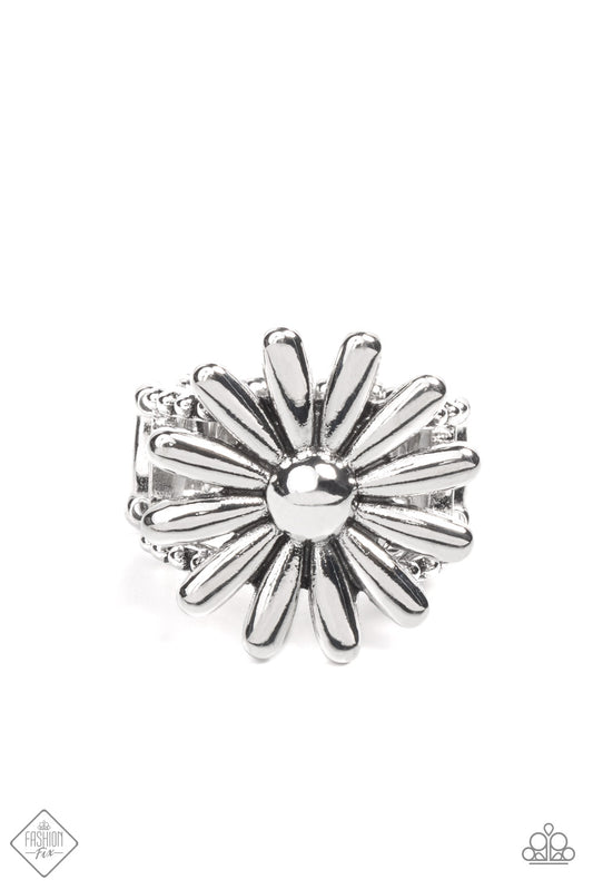 GROWING Steady - Silver Paparazzi Exclusive Fashion Fix Ring