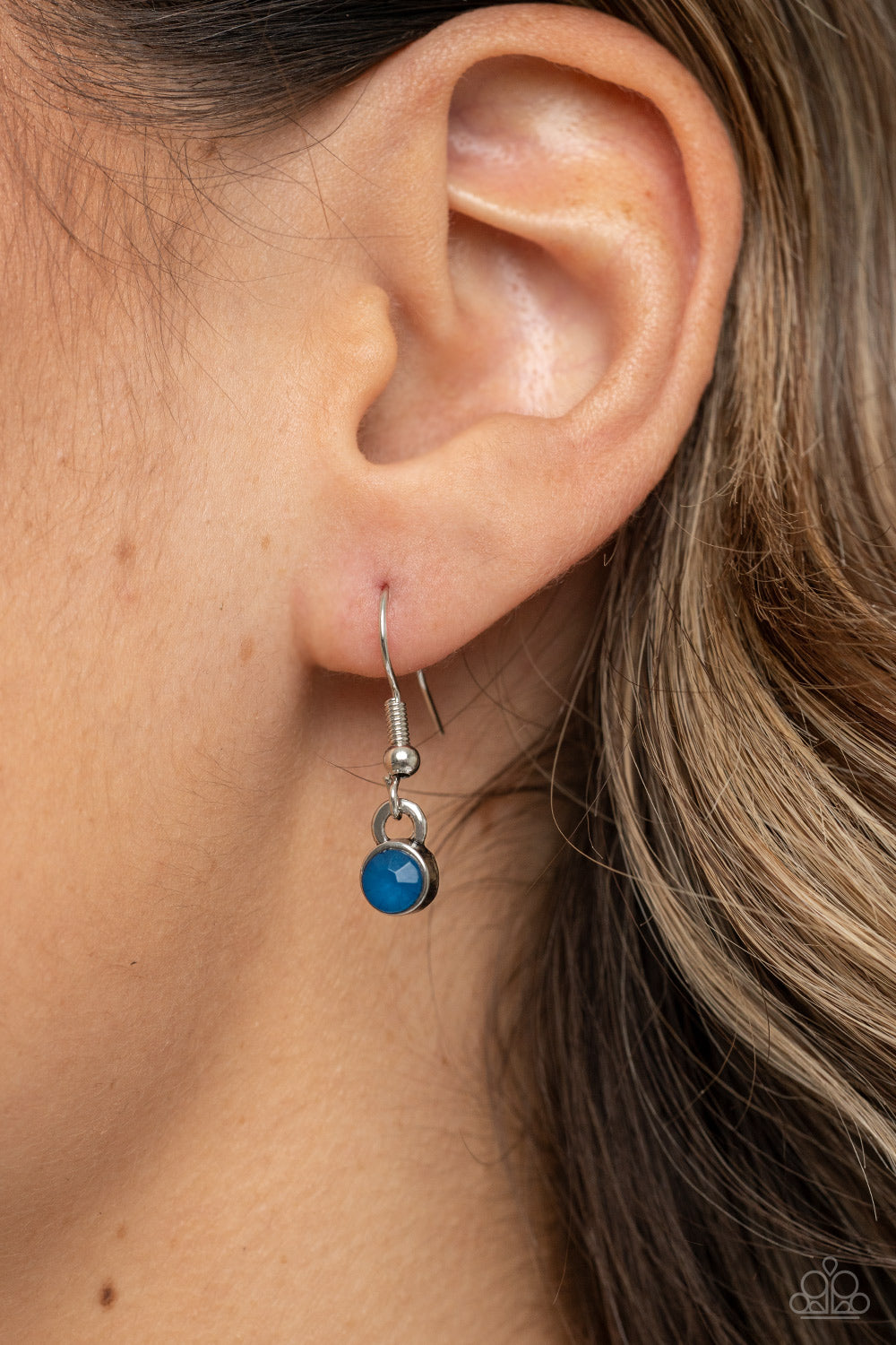 Farmers Market Fashionista - Blue Paparazzi Necklace